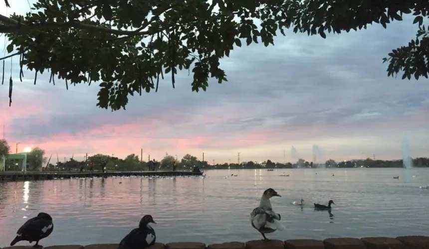 Atardecer en la Laguna del Nainari de Ciudad Obregón. Foto TripAdvisor