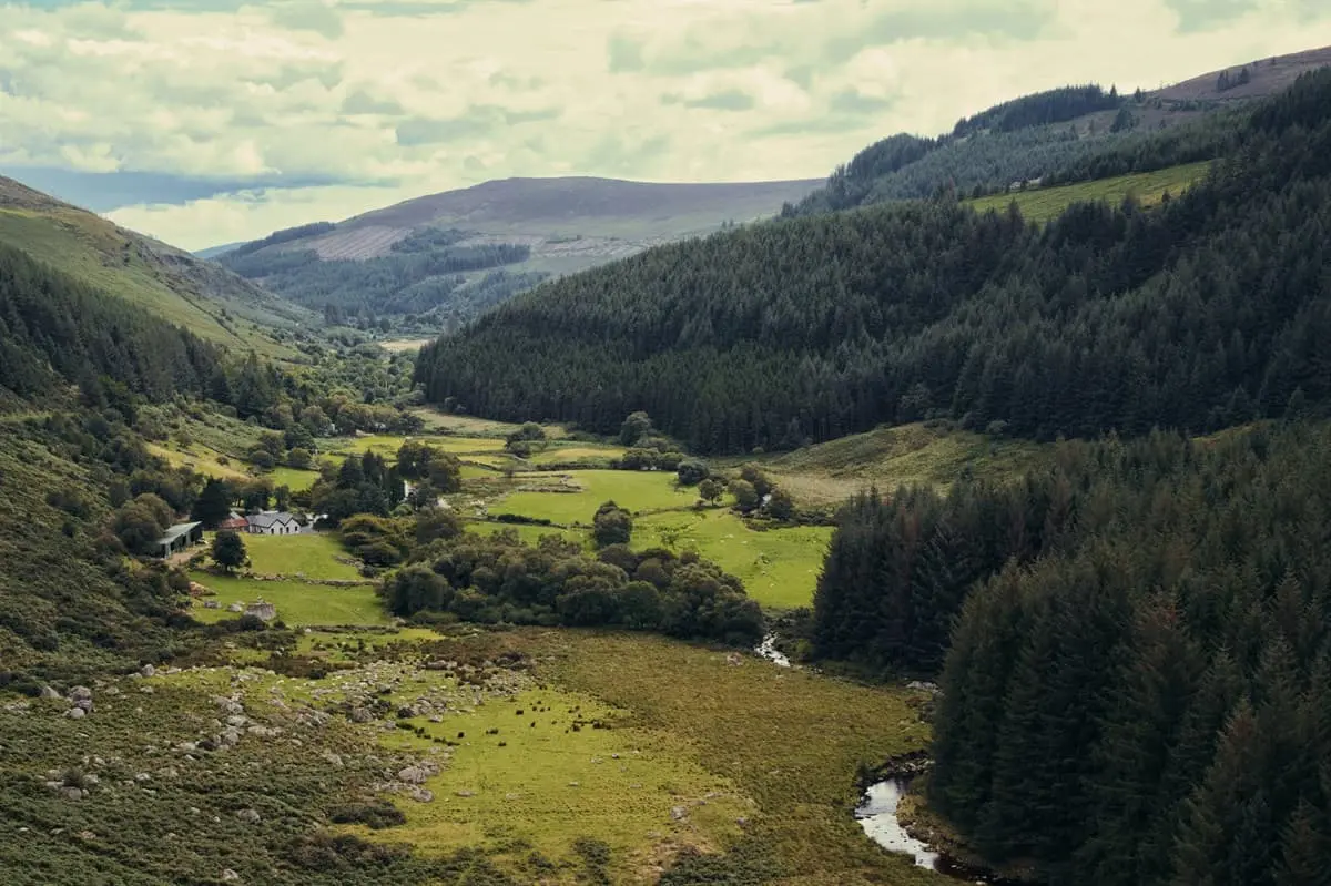 Wicklow | Imagen: Majestic Lukas