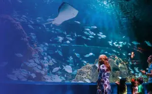 Conociendo el Acuario Michin Guadalajara