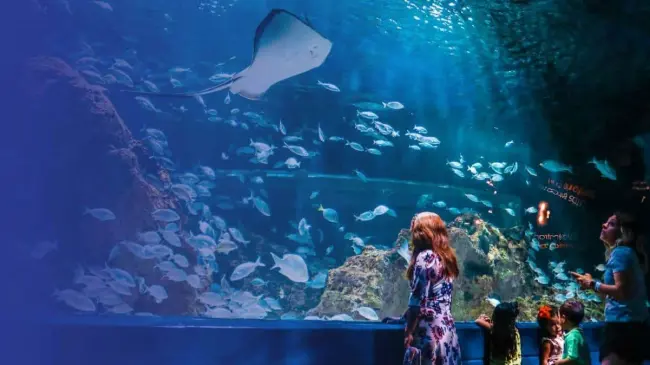 Acuario Michin Guadalajara. Foto sitio web oficial