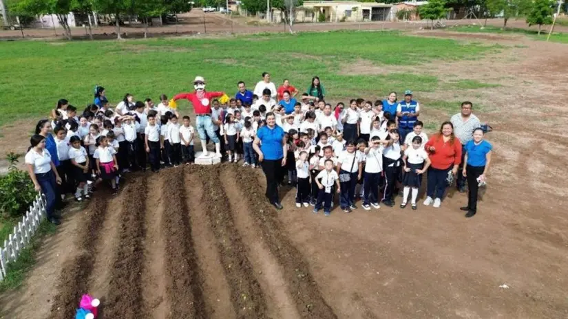 Huerto de Bayer en Sinaloa