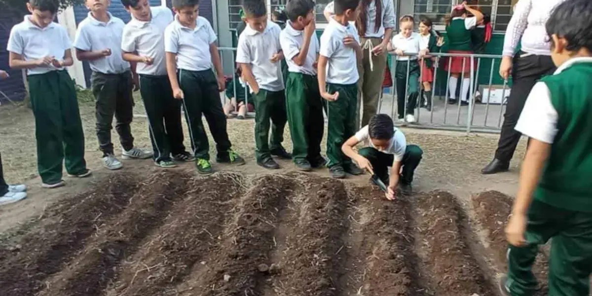 Conoce como Bayer apoya a las escuelas a tener reservas de agua y a mantener huertos escolares. Foto: Bayer