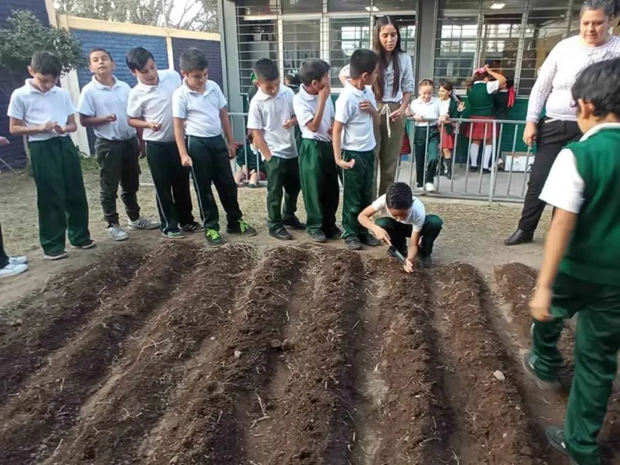 Conoce como Bayer apoya a las escuelas a tener reservas de agua y a mantener huertos escolares. Foto: Bayer