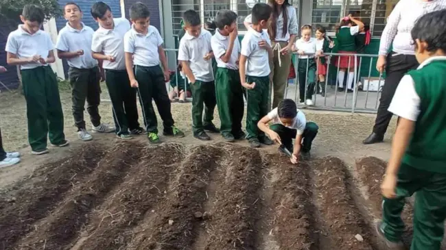 Conoce como Bayer apoya a las escuelas a tener reservas de agua y a mantener huertos escolares. Foto: Bayer