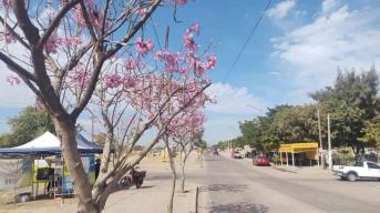 Clima en Sinaloa hoy 24 de abril de 2024: prevén temperaturas de hasta 41°C