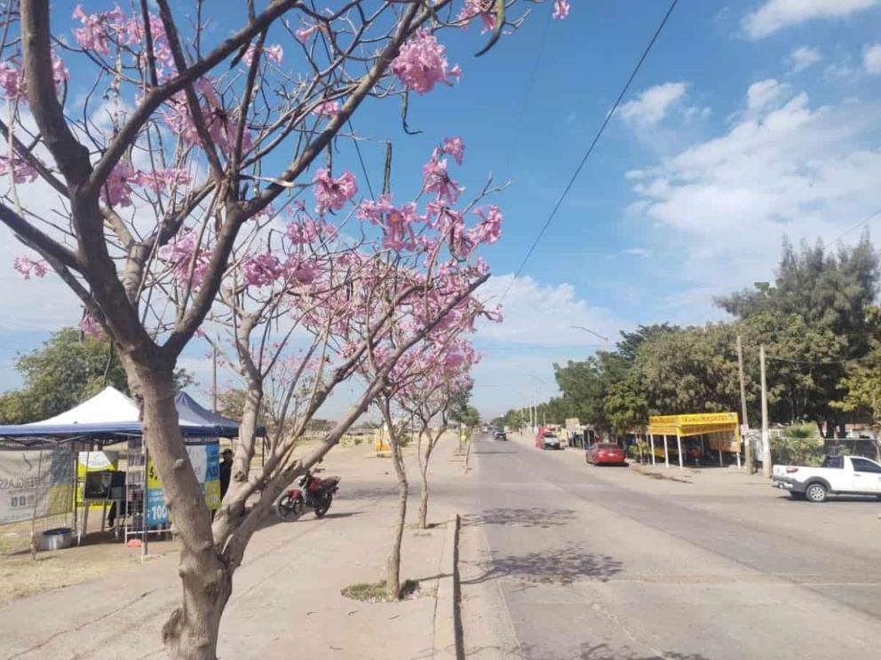 Clima en Sinaloa hoy 24 de abril de 2024: prevén temperaturas de hasta 41°C