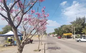 Clima en Sinaloa hoy viernes 22 de marzo de 2024: hasta 33°C con cielo despejado