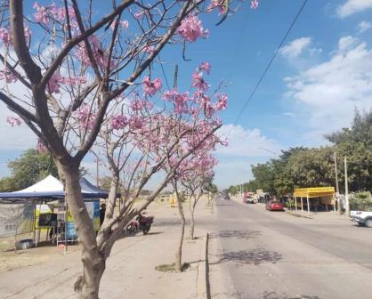 Clima en Sinaloa hoy viernes 22 de marzo de 2024: hasta 33°C con cielo despejado