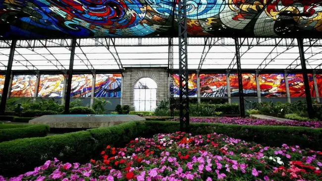 Plantas del Cosmovitral. Foto Diario Portal