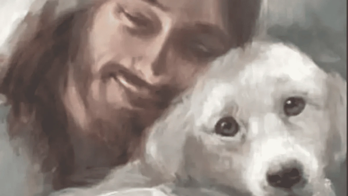 Zal, el perro que predicaba junto con Jesús de Nazaret.