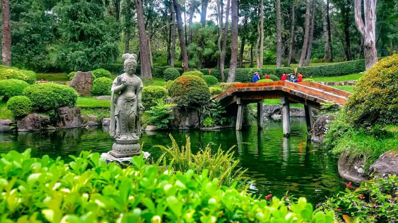 Bosque Los Colomos en Guadalajara. Foto ProClinic