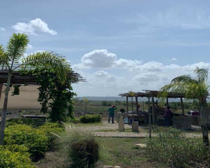 De visita por el campo Lavanda S23 en Tampico