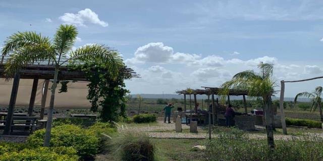 De visita por el campo Lavanda S23 en Tampico