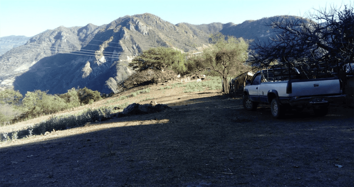 Los Ocotes, comunidad de Sinaloa en plena Sierra Madre Occidental, al límite con Durango