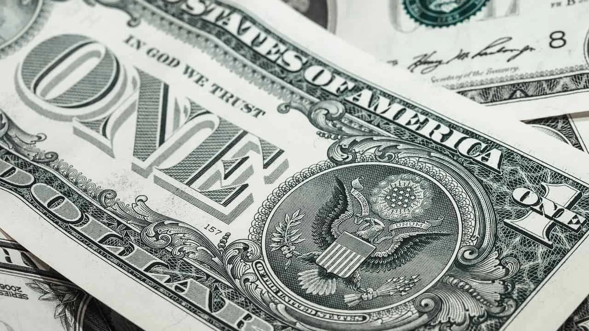 Precio del dólar para hoy lunes 25 de marzo en México. Foto: Unplash