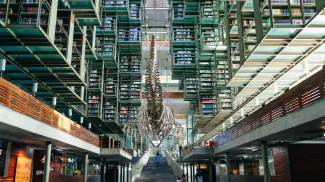 Interior de la biblioteca Vasconcelos. Foto CDMX Secreta