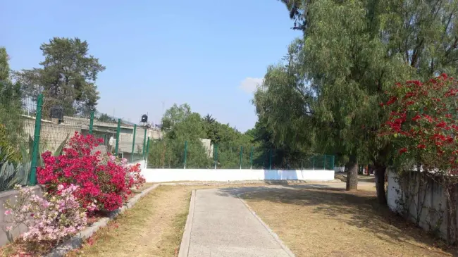 Sendero en el parque Campos de México Nuevo. Foto Brenda Valencia