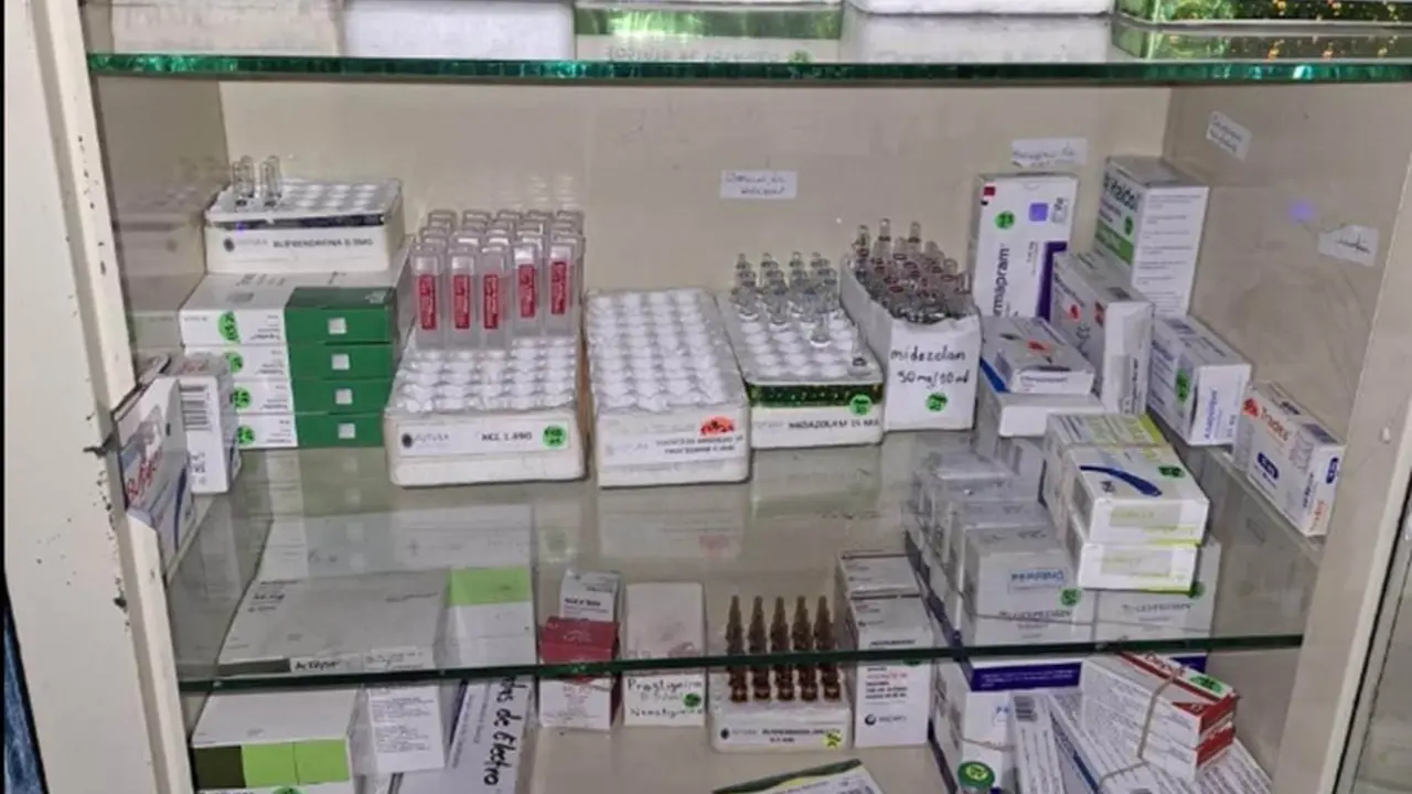 Cofepris alerta sobre robo de medicamentos: se despliegan acciones de vigilancia y control. Foto temática.