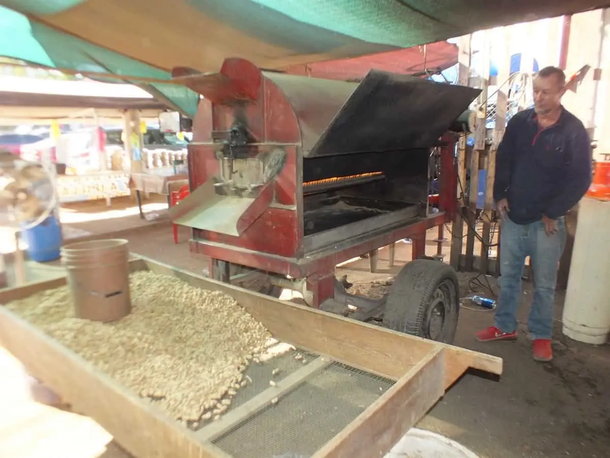 Con dos hornos semi industriales bastece el tostado y la demanda en temporada