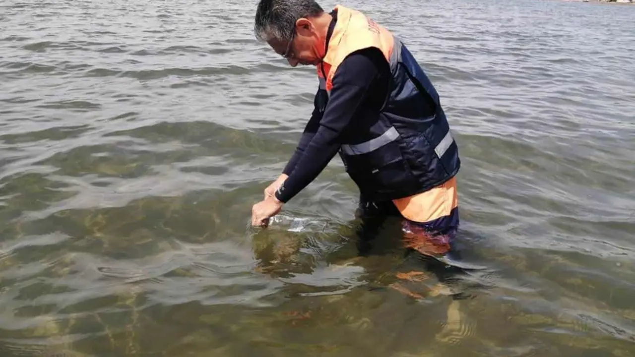 Playas de Sinaloa son aptas para uso recreativo: COEPRISS.