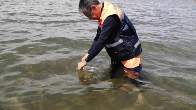 Playas de Sinaloa son aptas para uso recreativo: COEPRISS.