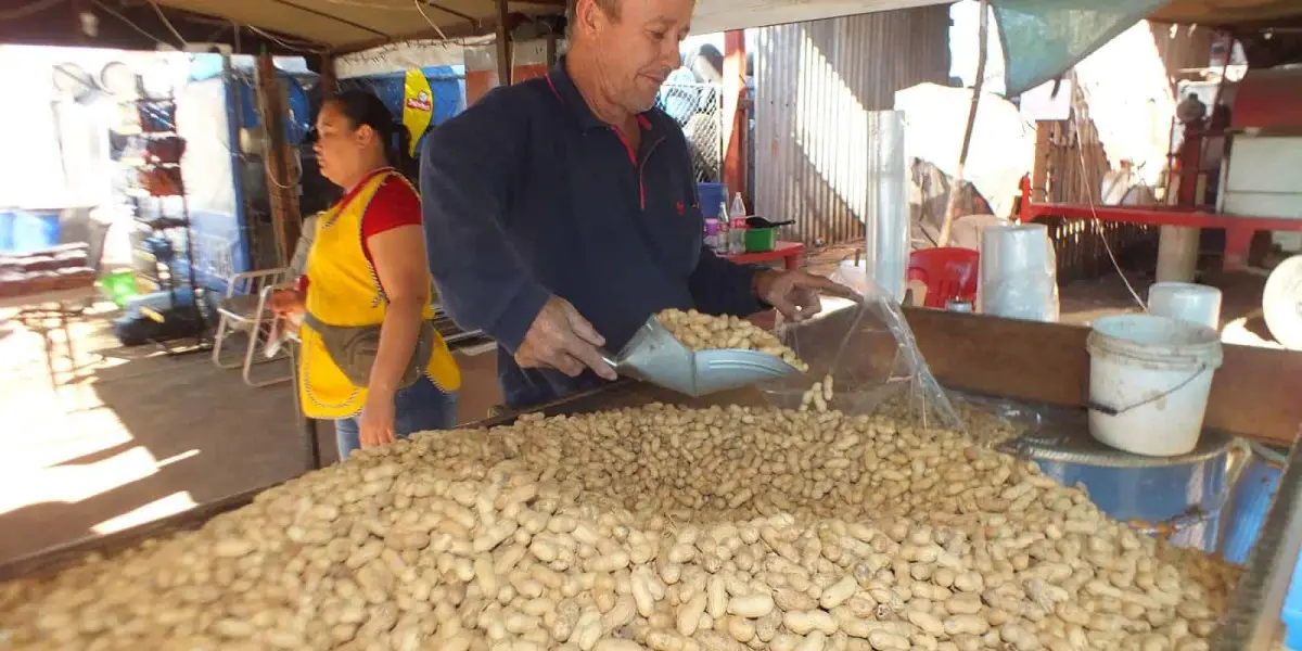 Fernando Hernández El Inge, el cacahuatero más famoso de Guamúchil