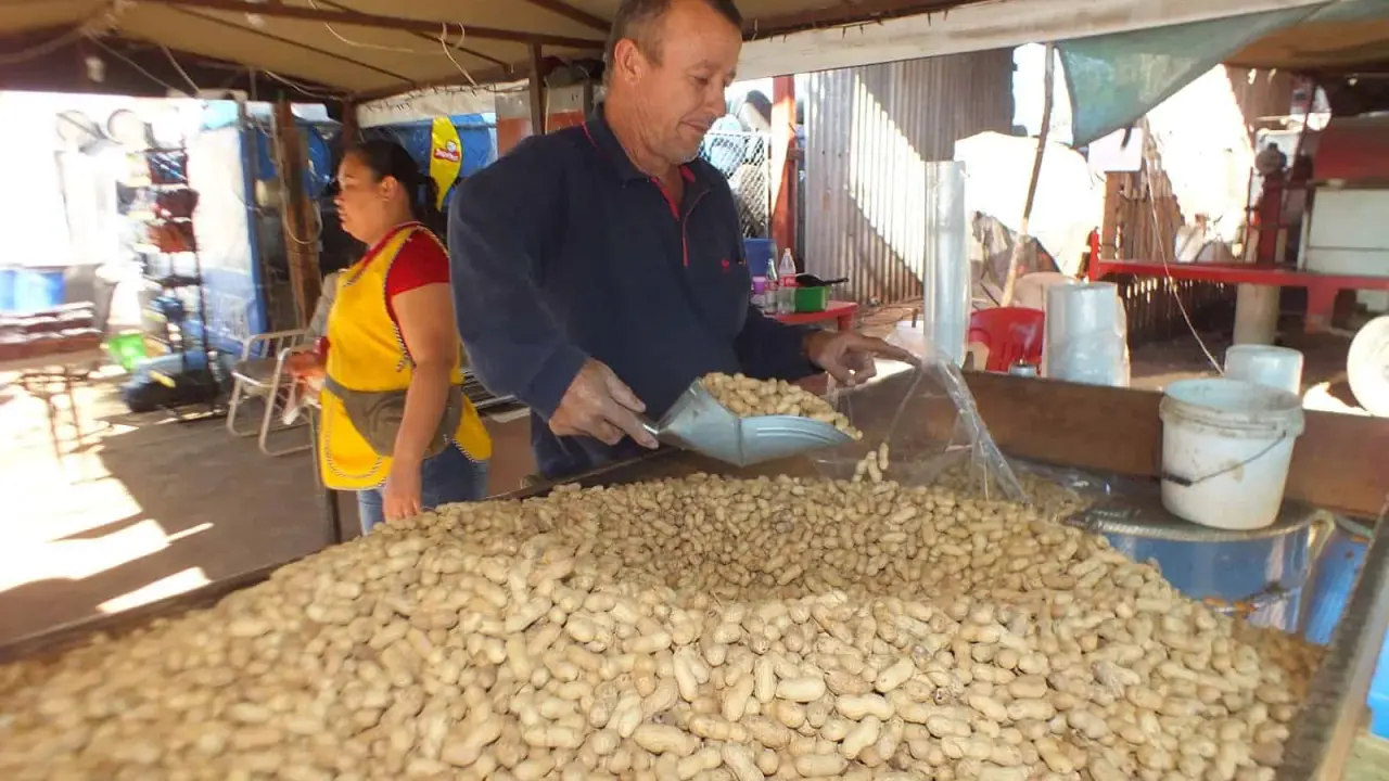 Fernando Hernández El Inge, el cacahuatero más famoso de Guamúchil