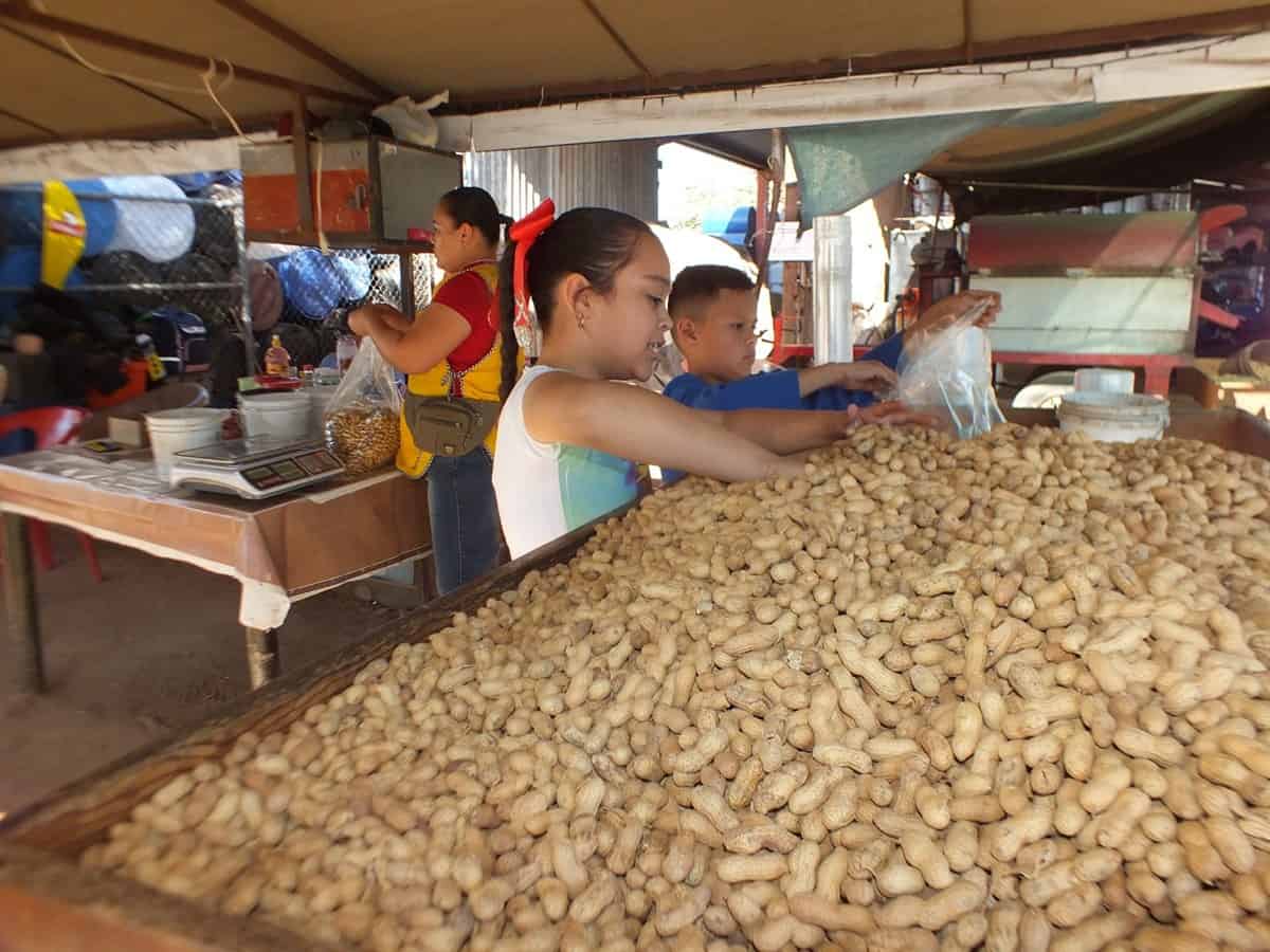 La familia entera pasa buenos momentos ayudando en la venta de cacahuate