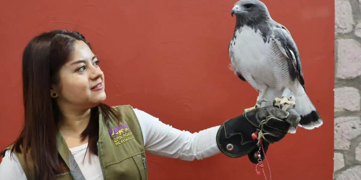 Zoológico de Morelia.