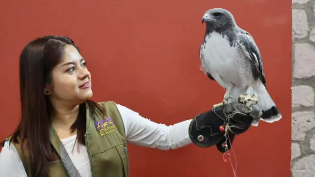 Zoológico de Morelia.