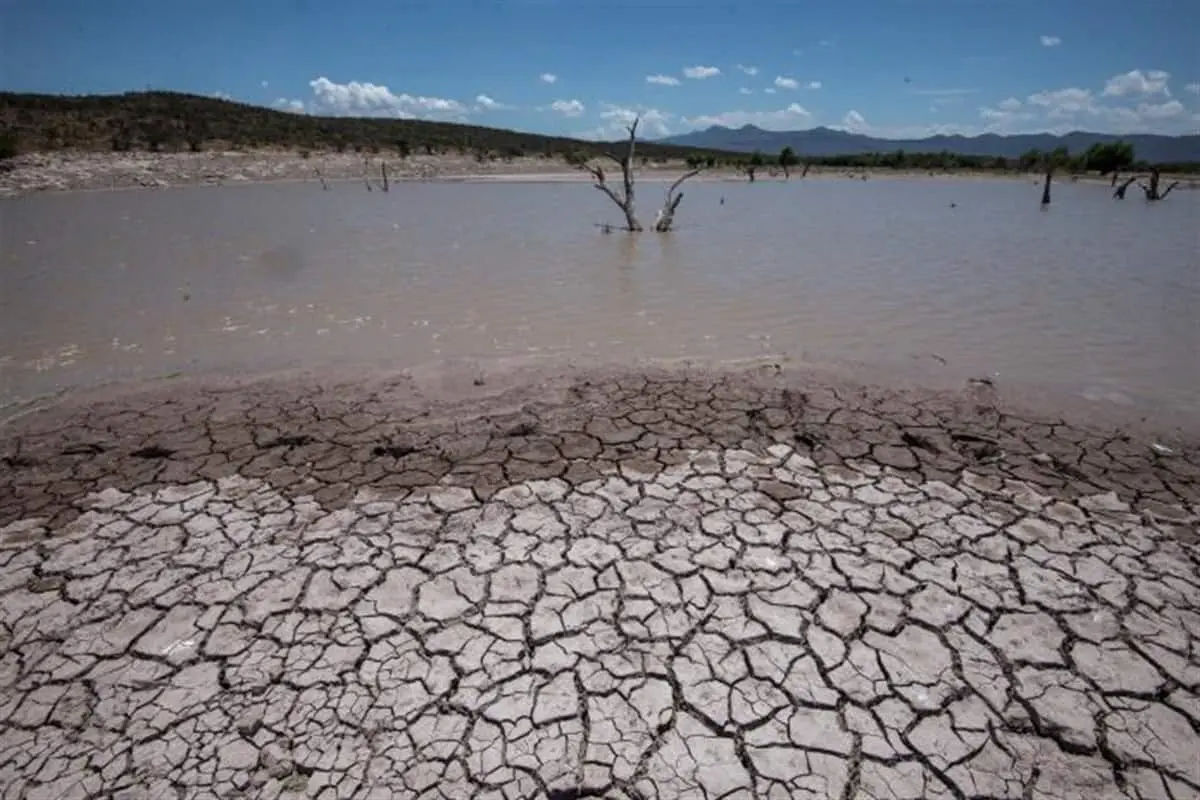 Necesario aplicar políticas públicas de Fondos de Agua