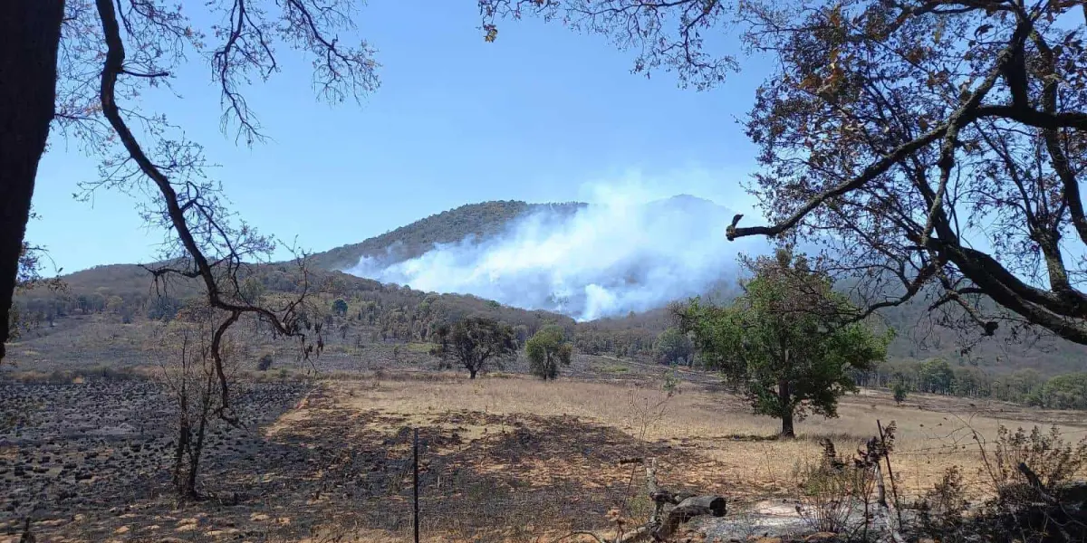 Se realizan trabajos por tierra y aire para apagar un incendio forestal que se reactivó en el cerro del Águila.