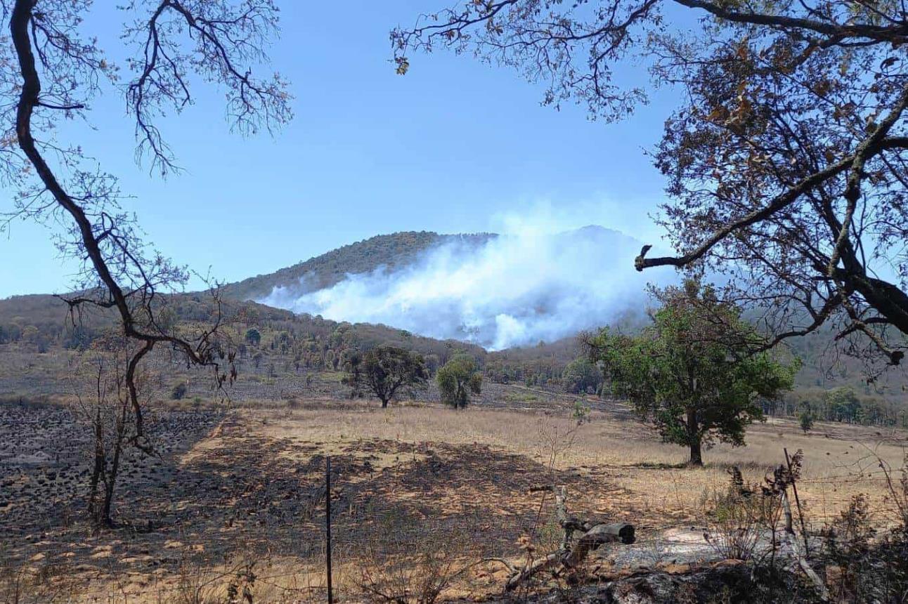 Se realizan trabajos por tierra y aire para apagar un incendio forestal que se reactivó en el cerro del Águila.
