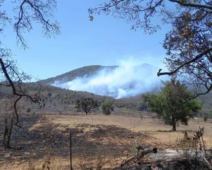 Combaten por tierra y aire reactivación de incendio forestal en cerro del Águila