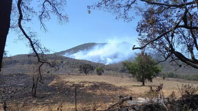 Se realizan trabajos por tierra y aire para apagar un incendio forestal que se reactivó en el cerro del Águila.