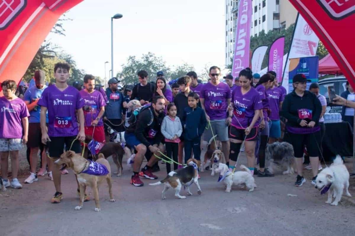 Personas y perros compiten en equipo en la Canrrera. Foto: Tus Buenas Noticias