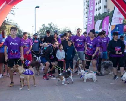 Únete a la Canrrera 2024 en Culiacán: pasea con tu perro, compite y ayuda