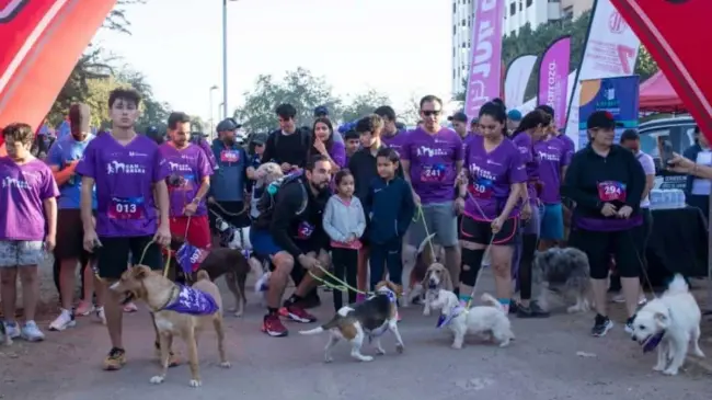 Personas y perros compiten en equipo en la Canrrera. Foto: Tus Buenas Noticias