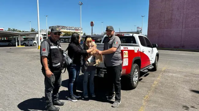 Gracias a la valiosa colaboración de la ciudadanía él perrito ya está en casa.