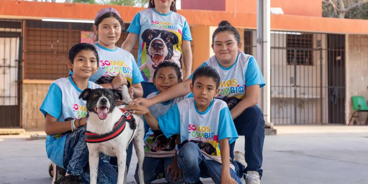 Lazarito, el perrito rescatado por niños y la comunidad de Kanasí en Yucatán. Cortesía