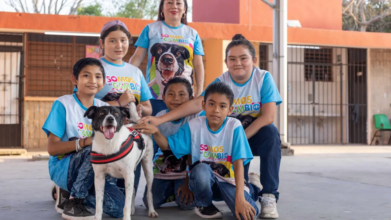 Lazarito, el perrito rescatado por niños y la comunidad de Kanasí en Yucatán. Cortesía