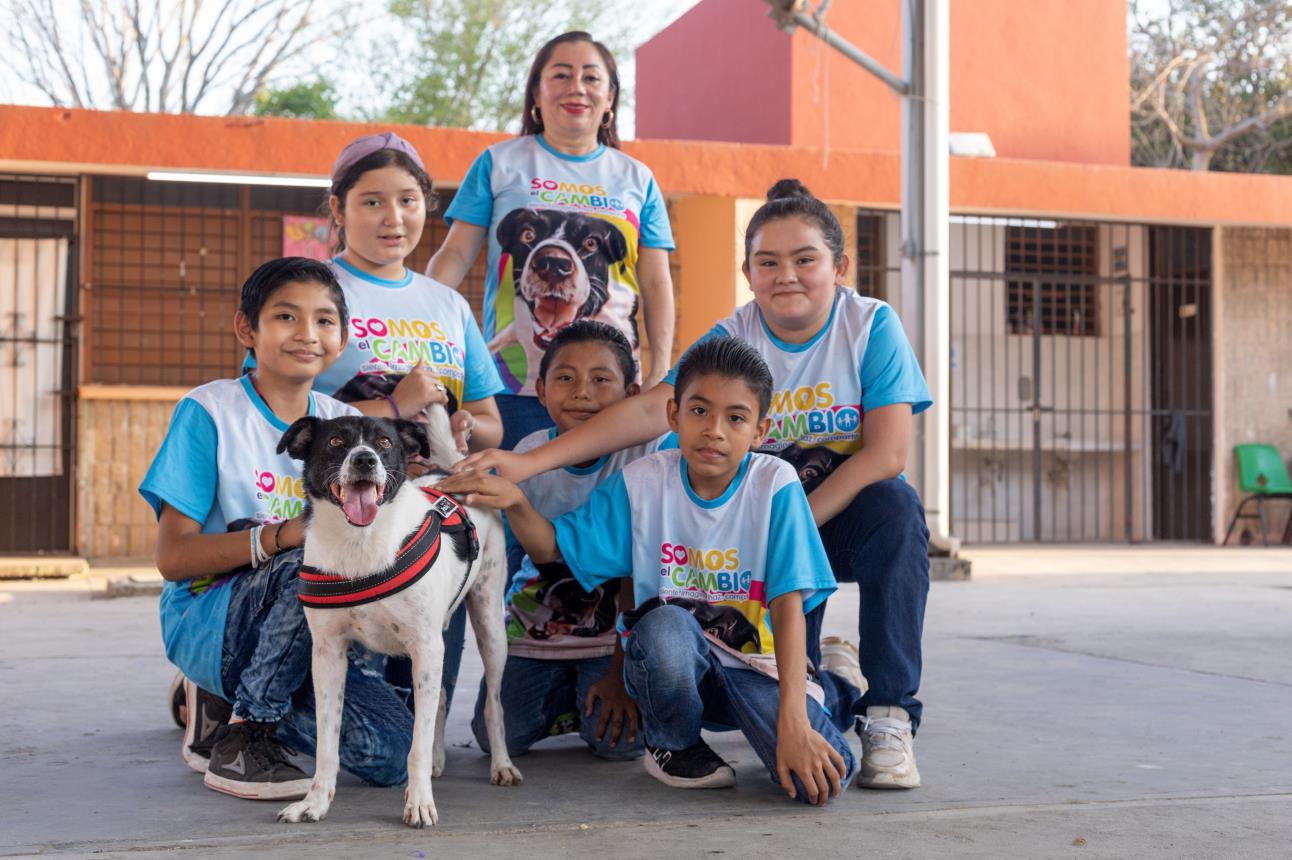 Lazarito, el perrito rescatado por niños y la comunidad de Kanasí en Yucatán. Cortesía
