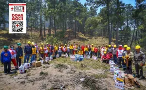 ¡Héroes! Brigadistas rescatan a animalitos del incendio forestal de Lerma, Edomex