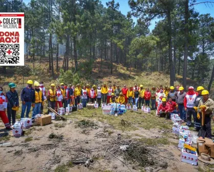 ¡Héroes! Brigadistas rescatan a animalitos del incendio forestal de Lerma, Edomex