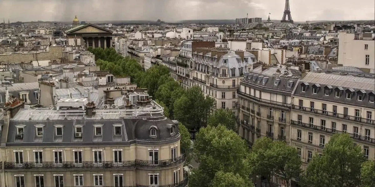 Árboles en la ciudad de París. Foto Pxabay