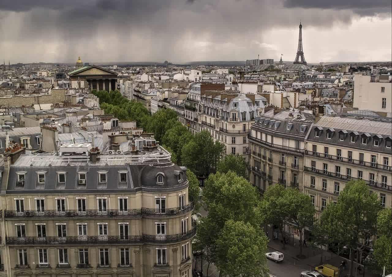 Árboles en la ciudad de París. Foto Pxabay
