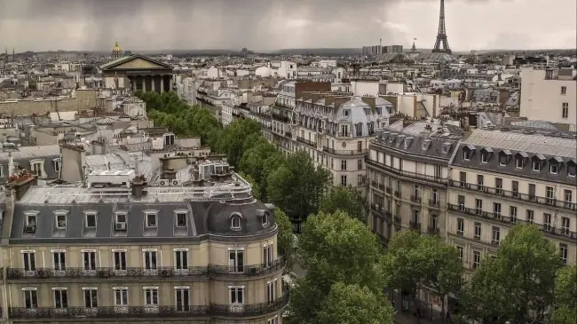 Árboles en la ciudad de París. Foto Pxabay