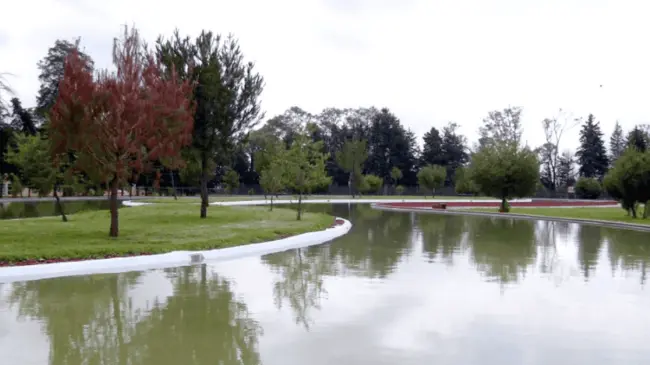 Lago en el parque Ambiental Bicentenario de Metepec
