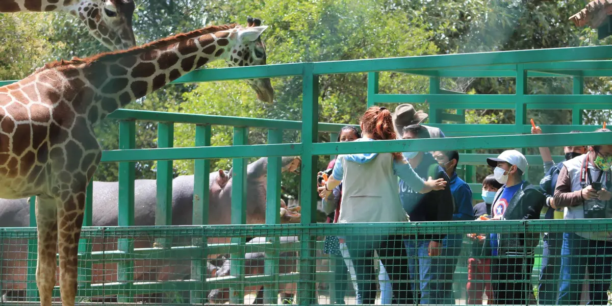 Niños visitando el parque Ecológico Zacango. Foto Gobierno EDOMEX