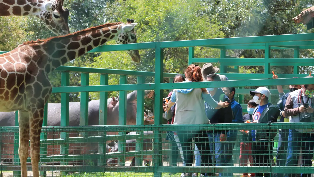 Niños visitando el parque Ecológico Zacango. Foto Gobierno EDOMEX